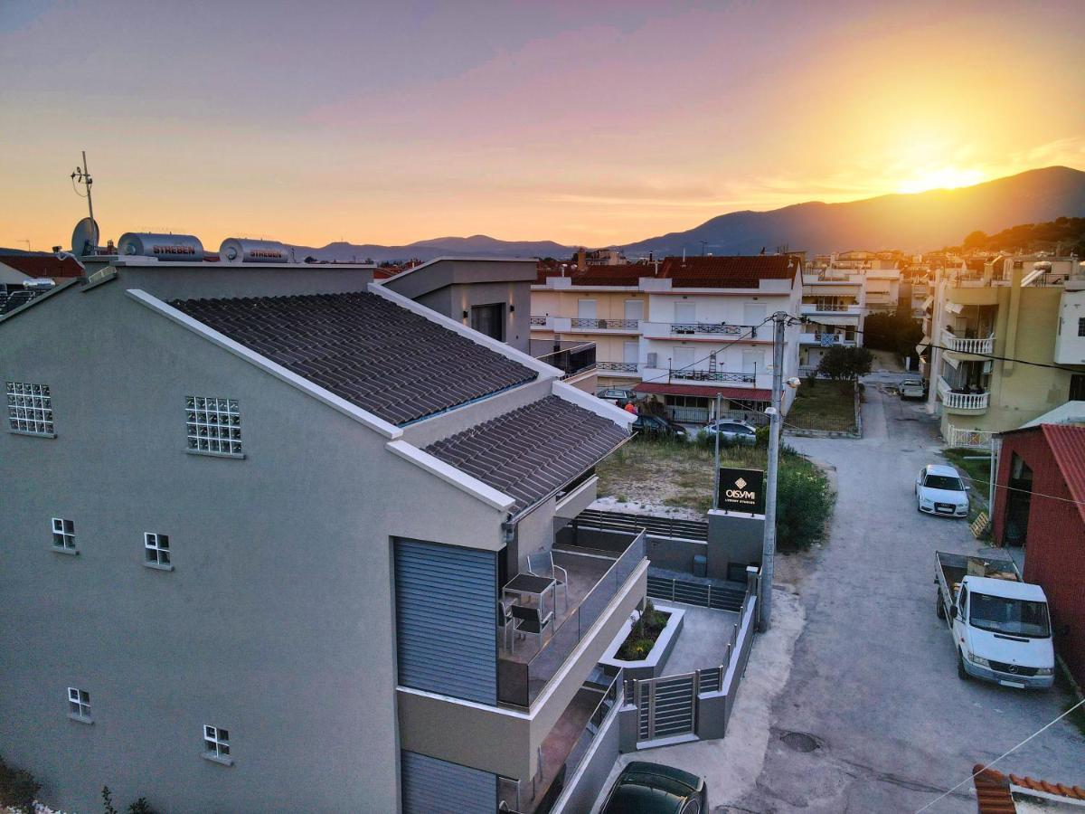 Oisymi Luxury Studios Nea Peramos  Luaran gambar